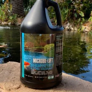 solar w pumps and fountains, solar Water Pump Systems, solar water pump, natural and Effective Pond Algae Control Systems, natural algae control for ponds natural algae control for fountains ponds and lake aerators,
