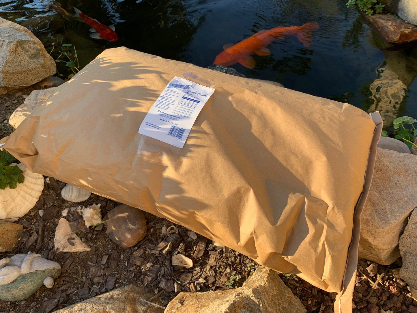 solar w pumps and fountains, solar Water Pump Systems, solar water pump, natural and Effective Pond Algae Control Systems, natural algae control for ponds natural algae control for fountains ponds and lake aerators,