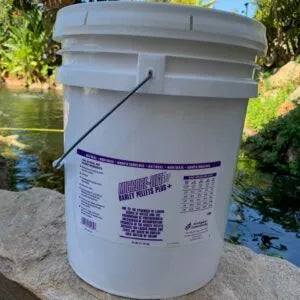 solar w pumps and fountains, solar Water Pump Systems, solar water pump, natural and Effective Pond Algae Control Systems, natural algae control for ponds natural algae control for fountains ponds and lake aerators,