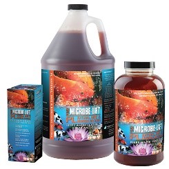 solar w pumps and fountains, solar Water Pump Systems, solar water pump, natural and Effective Pond Algae Control Systems, natural algae control for ponds natural algae control for fountains ponds and lake aerators,