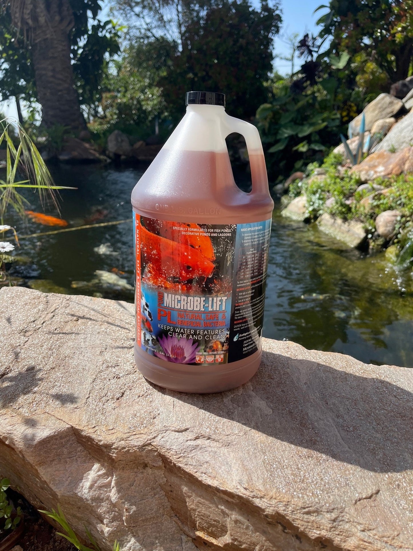 solar w pumps and fountains, solar Water Pump Systems, solar water pump, natural and Effective Pond Algae Control Systems, natural algae control for ponds natural algae control for fountains ponds and lake aerators,