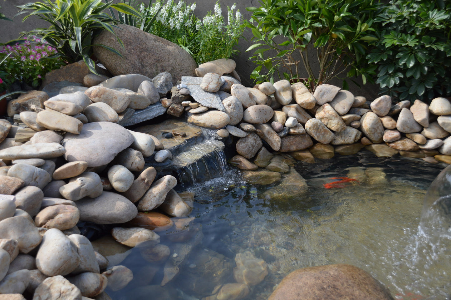 solar w pumps and fountains, solar Water Pump Systems, solar water pump, natural and Effective Pond Algae Control Systems, natural algae control for ponds natural algae control for fountains ponds and lake aerators,