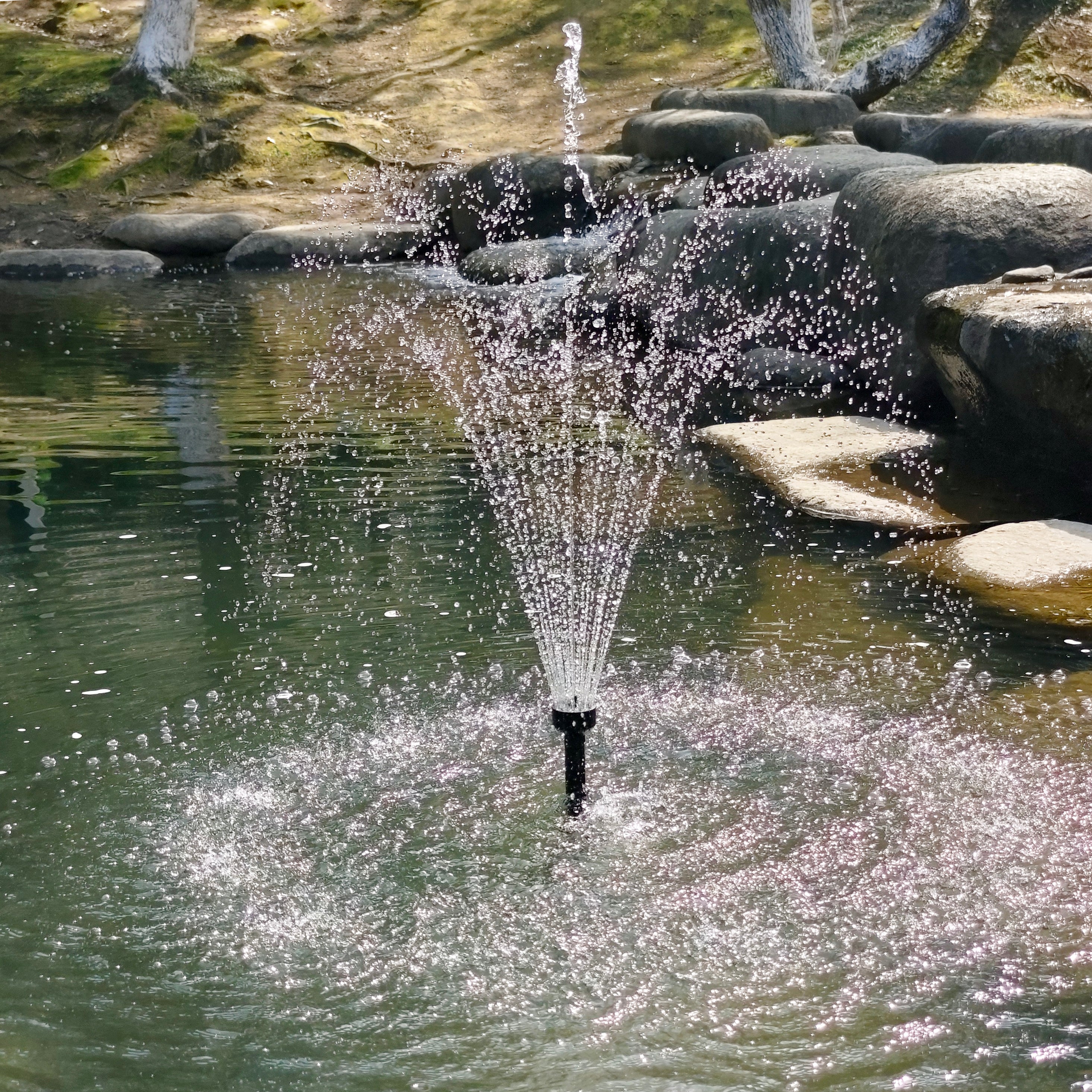 Solar Pumps – My Natural Pond