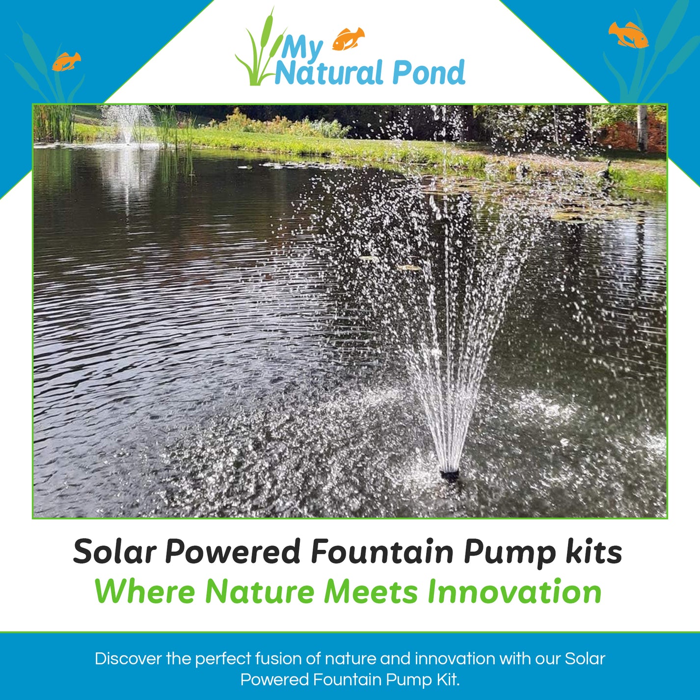 MNP SF100 100W 1,268 GPH Powerful Solar Pond Fountain Kit My Natural Pond