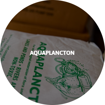 aquaplancton
