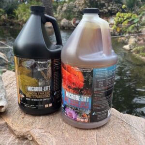 Microbe-Lift Barley/Friendly Bacteria Combo SUMMER Sale!